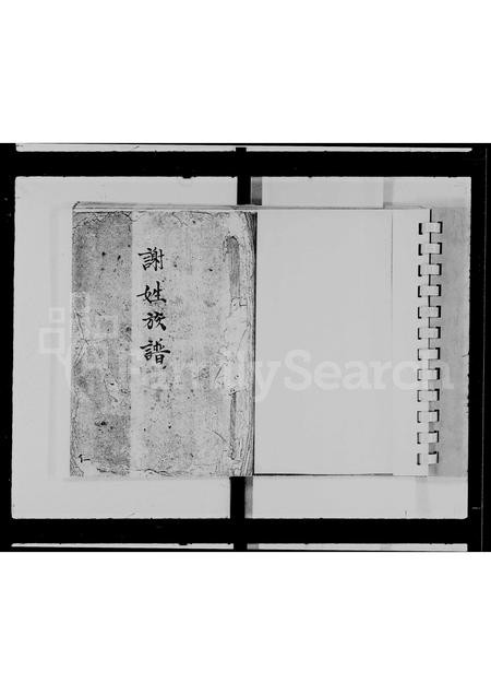 广东谢氏族谱-谢姓族谱.pdf电子版插图