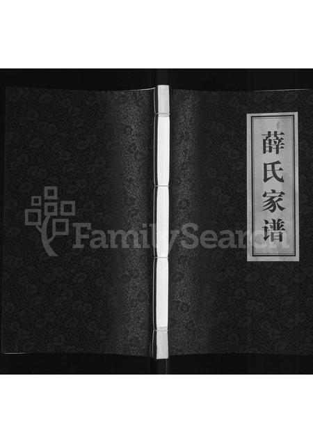 河南薛氏族谱-薛氏家谱.pdf电子版插图