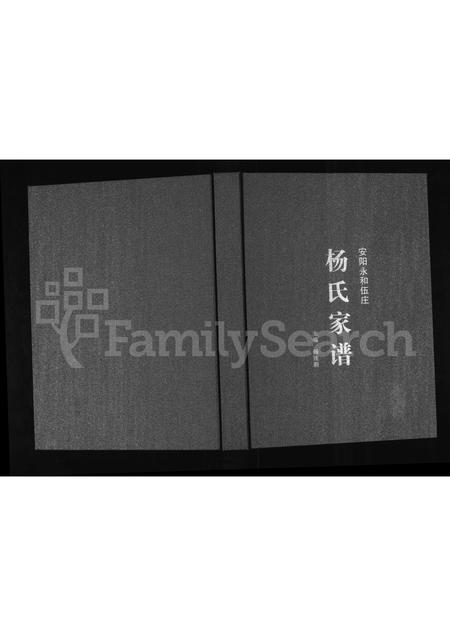 河南杨氏族谱-杨氏家谱 _ 安阳永和伍庄.pdf电子版插图