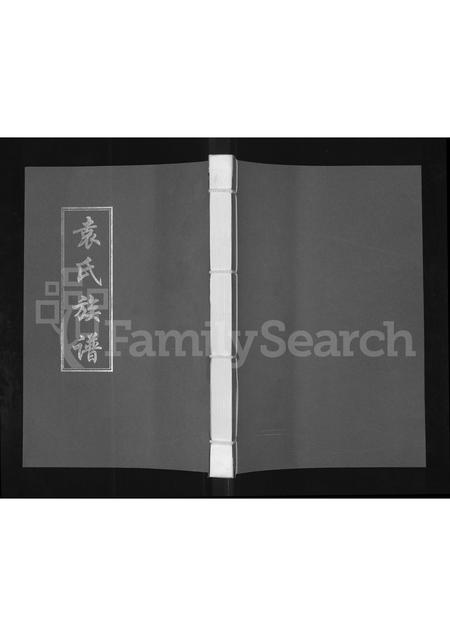 河南袁氏族谱-袁氏族谱.pdf电子版