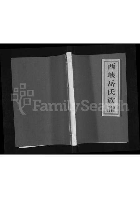 河南岳氏族谱-西峡岳氏族谱.pdf电子版插图 河南岳氏族谱-西峡岳氏族谱.pdf电子版插图