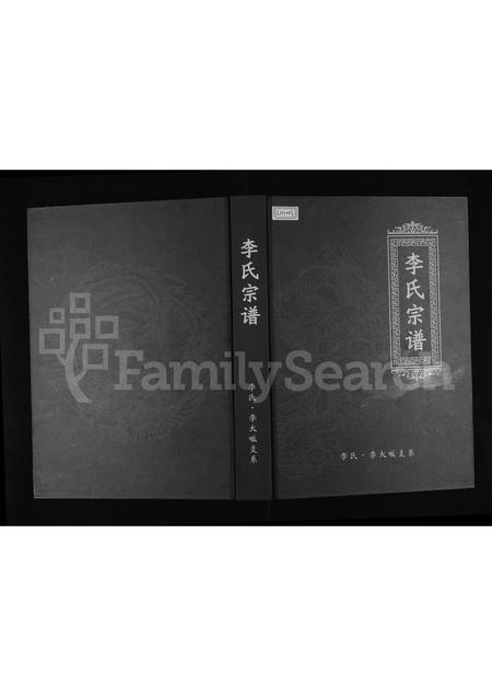 河南李氏族谱-李氏宗谱 _ 李氏,李大畈支系.pdf电子版插图
