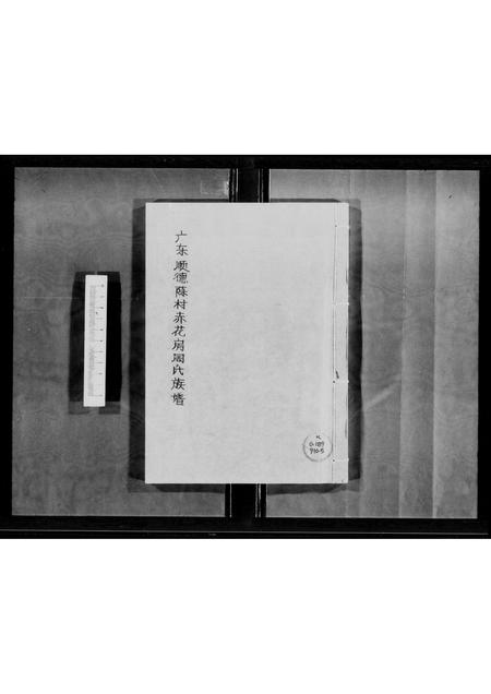 广东周氏族谱-广东顺德陈村赤花房周氏族谱.pdf电子版插图