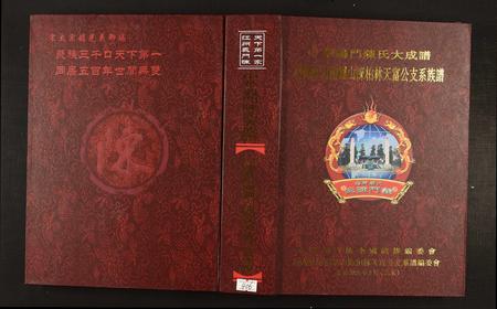 河南陈氏族谱-回归庄河南罗山陈柏林天富公支系族谱.pdf电子版插图