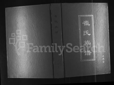河南崔氏族谱-崔氏族谱.pdf电子版插图