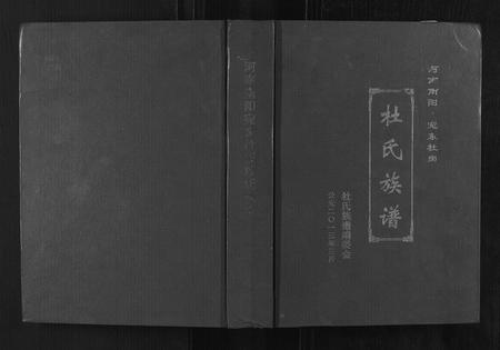 河南杜氏族谱-苑东社岗杜氏族谱.pdf电子版插图