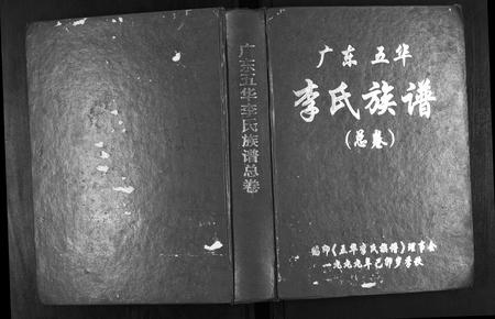 广东李氏族谱-广东省五华李氏族谱.pdf电子版
