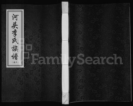 河南李氏族谱-河头李氏族谱 [8卷].pdf电子版插图