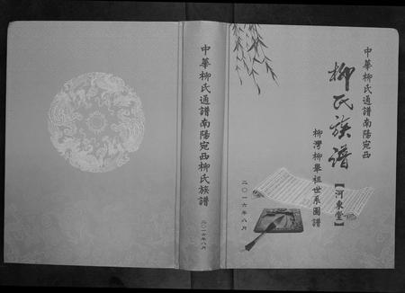 河南柳氏族谱-南阳宛西柳氏族谱[不分卷].pdf电子版插图
