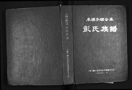 广东彭氏族谱-彭氏族谱. 丰顺子顺公系.pdf电子版插图