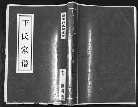 河南王氏族谱-王氏家谱[4卷].pdf电子版插图