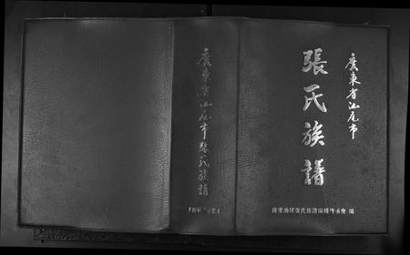广东张氏族谱-广东省汕尾市张氏族谱.pdf电子版插图