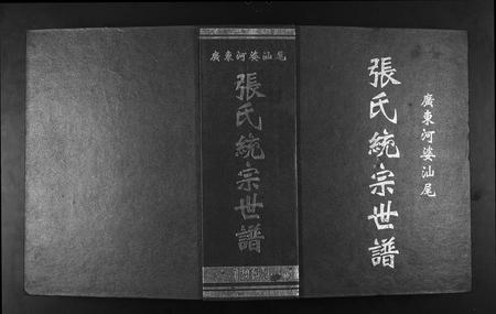 广东张氏族谱-广东省河婆汕尾张氏统宗世谱.pdf电子版插图