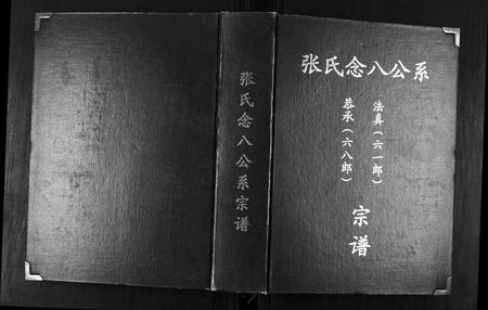 广东张氏族谱-张氏念八公系宗谱.pdf电子版插图