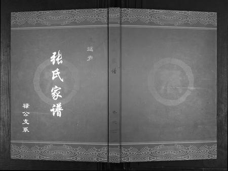 河南张氏族谱-张氏宗谱.pdf电子版插图