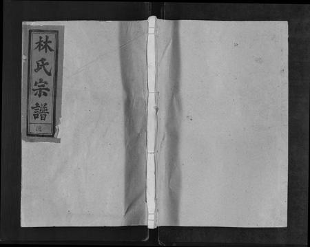 江西、福建林氏族谱-林氏宗谱[总卷数不详].pdf电子版