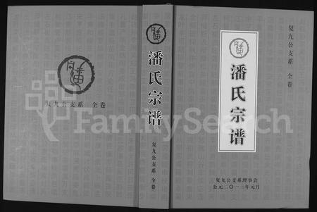 河南潘氏族谱-潘氏宗谱 _ 复九公支系.pdf电子版插图