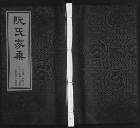 广东阮氏族谱-阮氏家乘 [不分卷].pdf电子版插图