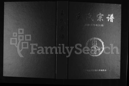 河南王氏族谱-王氏宗谱 _ 河南兰考卷(六修).pdf电子版插图
