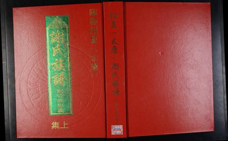 河南谢氏族谱-陈郡阳夏(太康)谢氏族谱 _ 安公故里篇 [上下集].pdf电子版插图