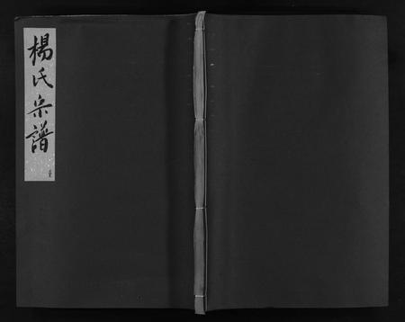 江西、福建杨氏族谱-杨氏宗谱 [卷数不详].pdf电子版插图