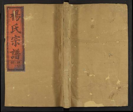 江西、福建杨氏族谱-宏农杨氏宗谱[13卷及卷首末].pdf电子版插图