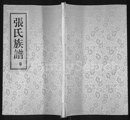 河南张氏族谱-张氏族谱 [4卷].pdf电子版插图