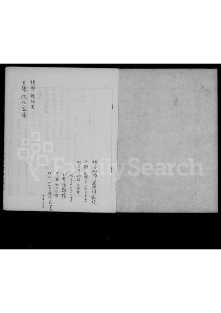 nan沈氏族谱-沈氏家传.pdf电子版插图