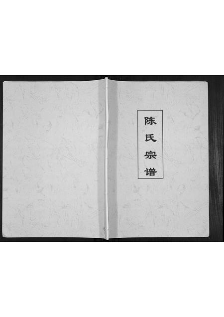 安徽陈氏族谱-陈氏宗谱.pdf电子版插图