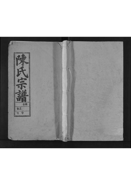 安徽陈氏族谱-陈氏宗谱[57卷,首1卷,末2卷].pdf电子版插图