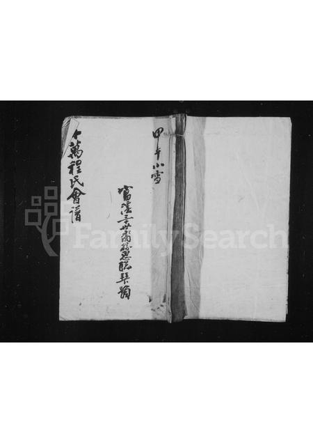 安徽程氏族谱-十万程氏会谱 [10卷].pdf电子版插图