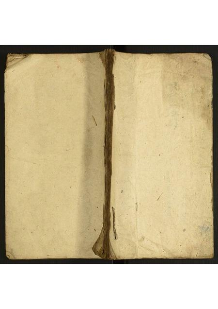 安徽方氏族谱-方氏世系图.pdf电子版