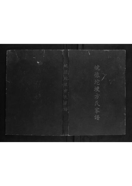 安徽方氏族谱-皖怀坨埂方氏家谱.pdf电子版插图