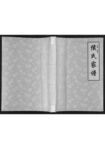 安徽侯氏族谱-濉溪候氏家谱[不分卷].pdf电子版