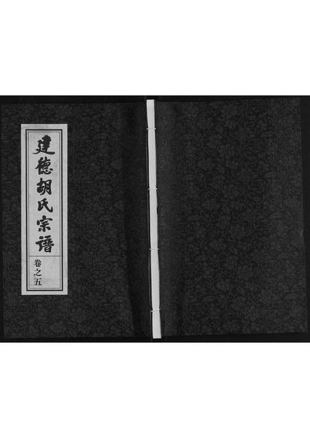 安徽胡氏族谱-建德锦溪胡氏宗谱.pdf电子版插图