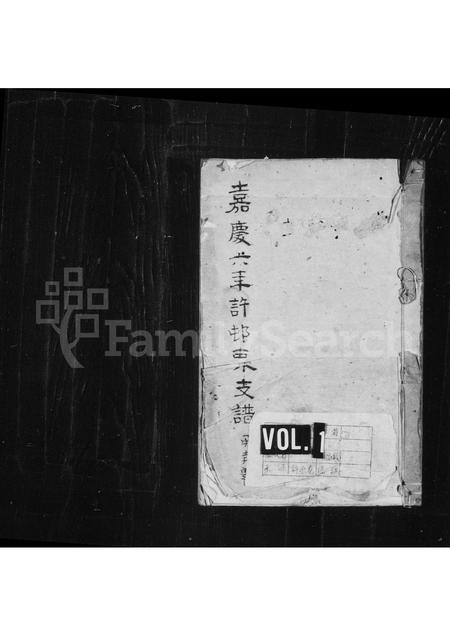 安徽许氏族谱-许村东支谱.pdf电子版插图
