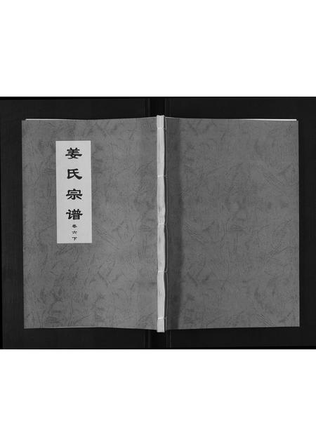 安徽姜氏族谱-姜氏宗谱[6卷].pdf电子版插图