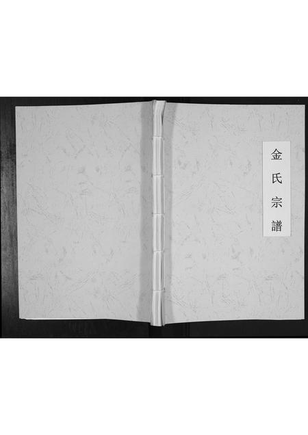 安徽金氏族谱-金氏家谱[不分卷].pdf电子版插图