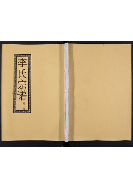 安徽李氏族谱-李氏宗谱[5卷].pdf电子版插图