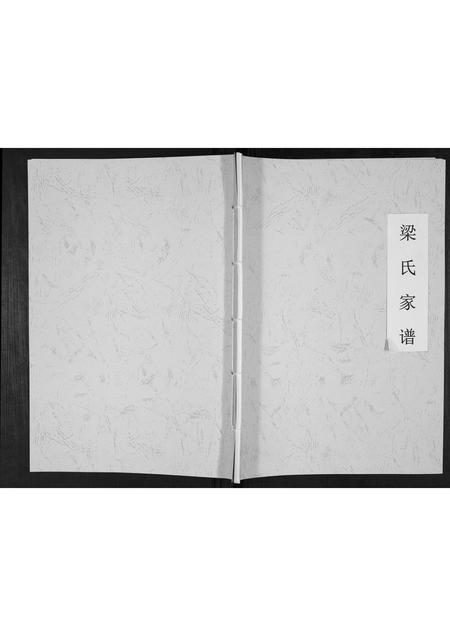 安徽梁氏族谱-梁氏家谱[不分卷].pdf电子版插图
