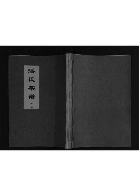 安徽潘氏族谱-潘氏宗谱.pdf电子版插图