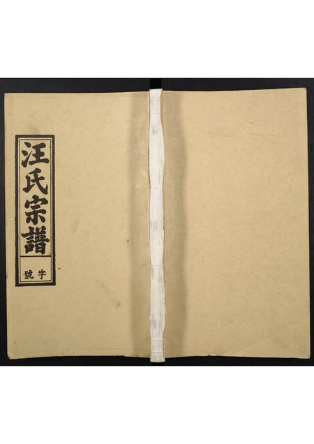 安徽汪氏族谱-汪氏宗谱.pdf电子版插图 安徽汪氏族谱-汪氏宗谱.pdf电子版插图