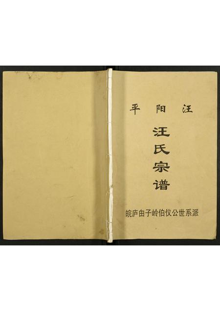 安徽汪氏族谱-汪氏宗谱.pdf电子版插图 安徽汪氏族谱-汪氏宗谱.pdf电子版插图