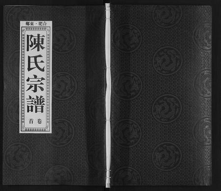 安徽陈氏族谱-陈氏宗谱.pdf电子版