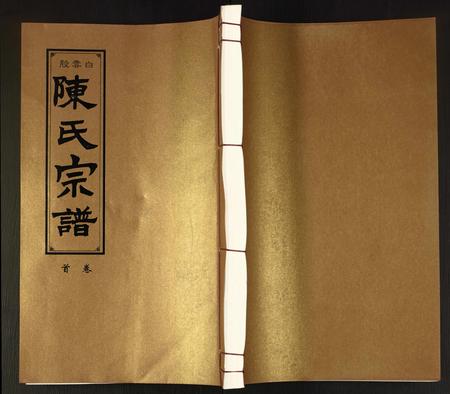 安徽陈氏族谱-陈氏宗谱.pdf电子版插图