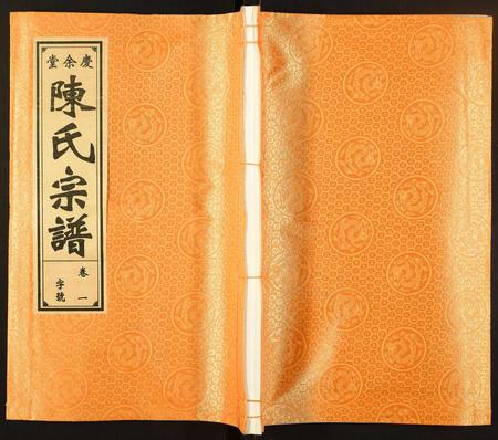 安徽陈氏族谱-陈氏宗谱.pdf电子版插图
