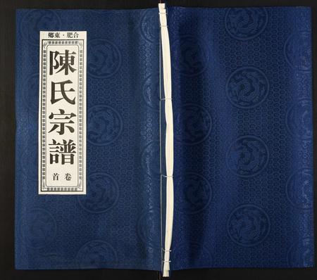 安徽陈氏族谱-陈氏宗谱.pdf电子版插图