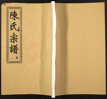 安徽陈氏族谱-陈氏宗谱.pdf电子版插图