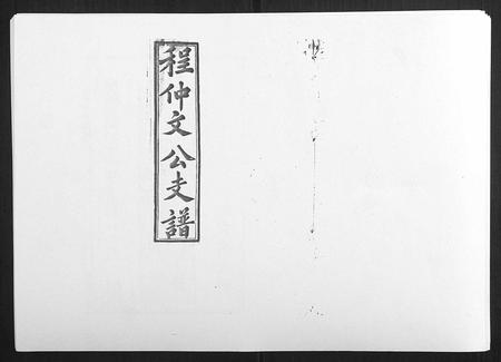 安徽程氏族谱-程仲文公支谱[15卷首1卷].pdf电子版插图