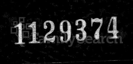 安徽程氏族谱-黄潭程氏宗谱 [14卷,含卷首末].pdf电子版
